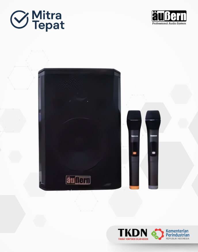 Aubern Speaker Portable GT 8